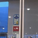 도담도담 태권도&체육교실 | 배곧 뛰놀자체육교실 내돈내산 36개월 후기