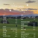 헤어룸 네이버블로그
