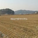 입면사무소 네이버블로그