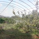 정일품농장 이미지