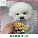 장림탕 | 장림제1동 애견카페 부산애견유치원 댕스하우스 가격 및 후기 추천 리뷰 주차 예약 알아봐요