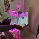 꾸꾸네 친구들 이미지