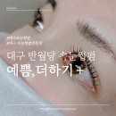 이경옥스킨바디 | [대구 반월당 속눈썹펌] 케라틴펌 잘하는 맛집 예쁨,더하기+ 이경옥킨앤바디