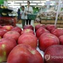 풍년유통 연합뉴스