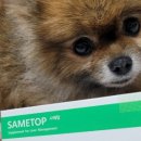 복덩이네 강아지 이미지