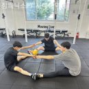 짐피닉스 이미지