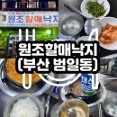 원조낙지 | [부산] 범일동 맛집 원조할매낙지 주차 / 여행객 찐 후기