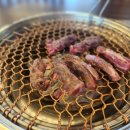 싱싱목장