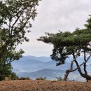 설매재자연휴양림 야영장 이미지