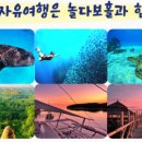 투어바다(주) 이미지