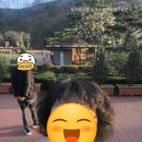 도솔로 네이버블로그
