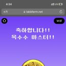 메이드인시카고피자 이미지