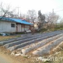 아담농장 이미지