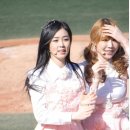 비피팝 카카오 검색결과