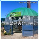 인주농장 | 경기도 아이와가기좋은곳 보통리 센트럴곤충생태농장