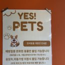 남양주 애견동반 식당 북한강 포남리 쌀국수 집 방문후기