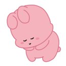 솔라고 명동 이미지