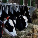 이재문농장 이미지