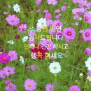 김광석 - 슬픈 우연 이미지