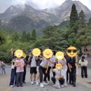 (주)세진여행사
