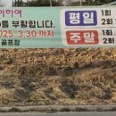 에스페란사 이미지
