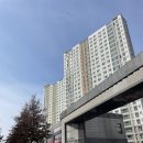 슬로우보이브레드