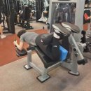 익스홀릭 가넷 이미지