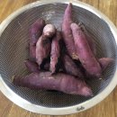 참된주유소 | 10월 속리산 사내리야영장/사내리캠핑장