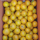 준이네농장 이미지