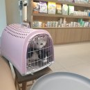 토마스동물병원 이미지