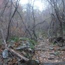 지예민박 이미지