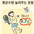 청수실내테니스장