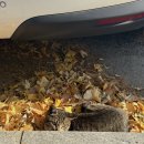 미니스톱 동해이편한점 | 동해 묵호 맛집 한식 추천 묵호역 근처 초당쫄면순두부(웨이팅 꿀팁/주차)