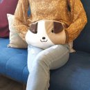청연 주식회사 이미지