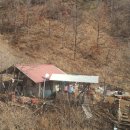 정선부동산공인중개사사무소 네이버블로그