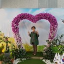 고바우식당 이미지