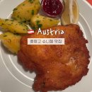 전 풍 | 풍향고 슈니첼 뜻? 오스트리아 비엔나 맛집 top3 솔직후기!