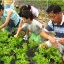 고교농장 이미지