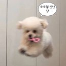 K26에 이어서 가본 파라다이브 다이빙 후기!