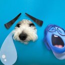 기쁨유치원 이미지