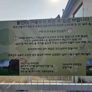 폴인80