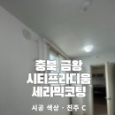 금왕시티프라디움아파트 | 충북 금왕시 세라믹탄성코트] 충북 금왕 시티프라디움 아파트 세라믹 진주C 시공현장