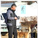 비상초등학교 이미지