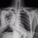 제주대학교 이미지