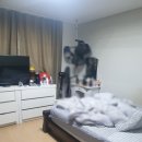 안양5동주민센터 이미지