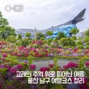 10월 성인 내게 온 문화창고 | 여름, 울산 남구 여행 :: 태화강 동굴피아, 장생포 고래문화마을, 장생포 고래박물관, 장생포 문화창고 ::