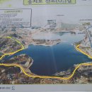자작나무숲중간 이미지