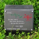 지리산둘레길 22코스(주천-밤재) 이미지
