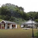 포레스트 이미지