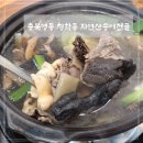 강화별밤거리 | [충북 영동] 별밤펜션캠핑장 청학동 자연산송이전골 자연산능이전골